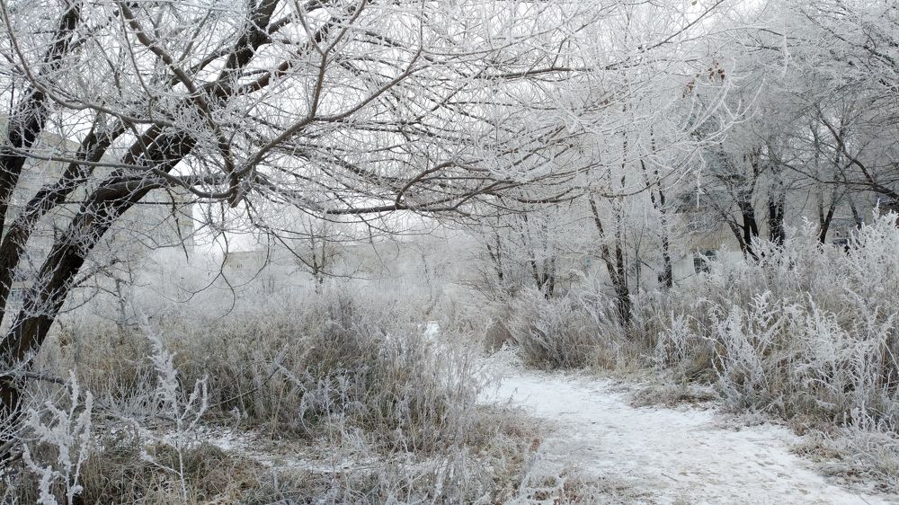 Photograph by Юлия Сахарова