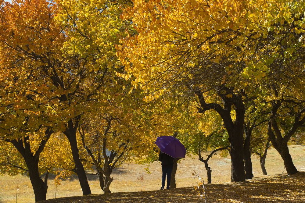 Photograph by Nauman Ghouri