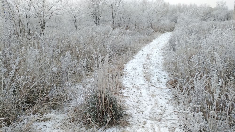 Photograph by Юлия Сахарова