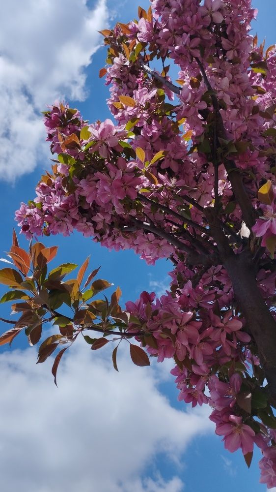 Photograph by Jale Yıkılmaz Kevran