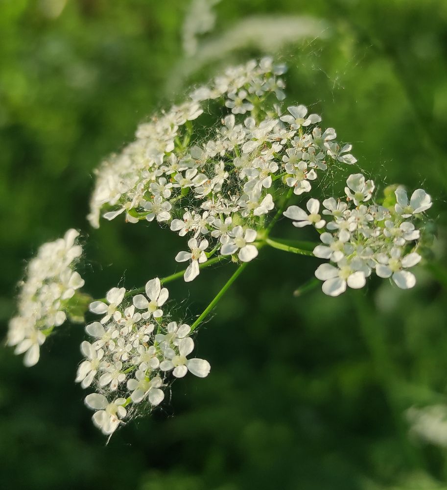 Photograph by Анастасия