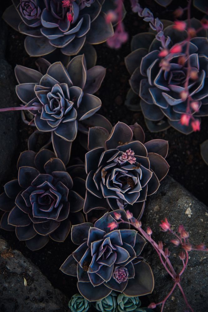 Photograph by Anton Parfenov