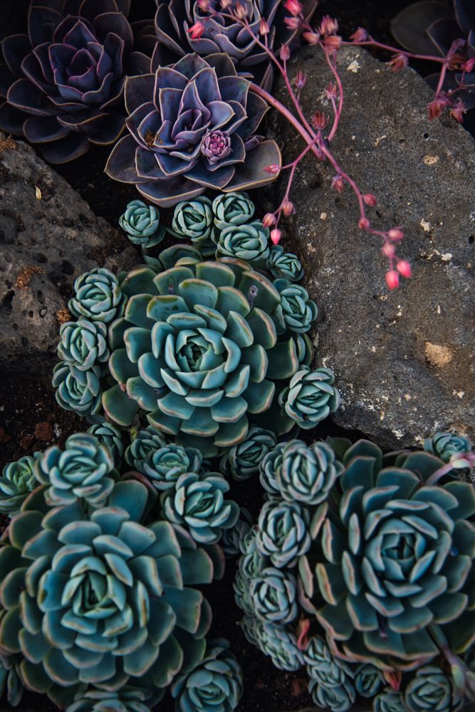 Фотография автора Anton Parfenov