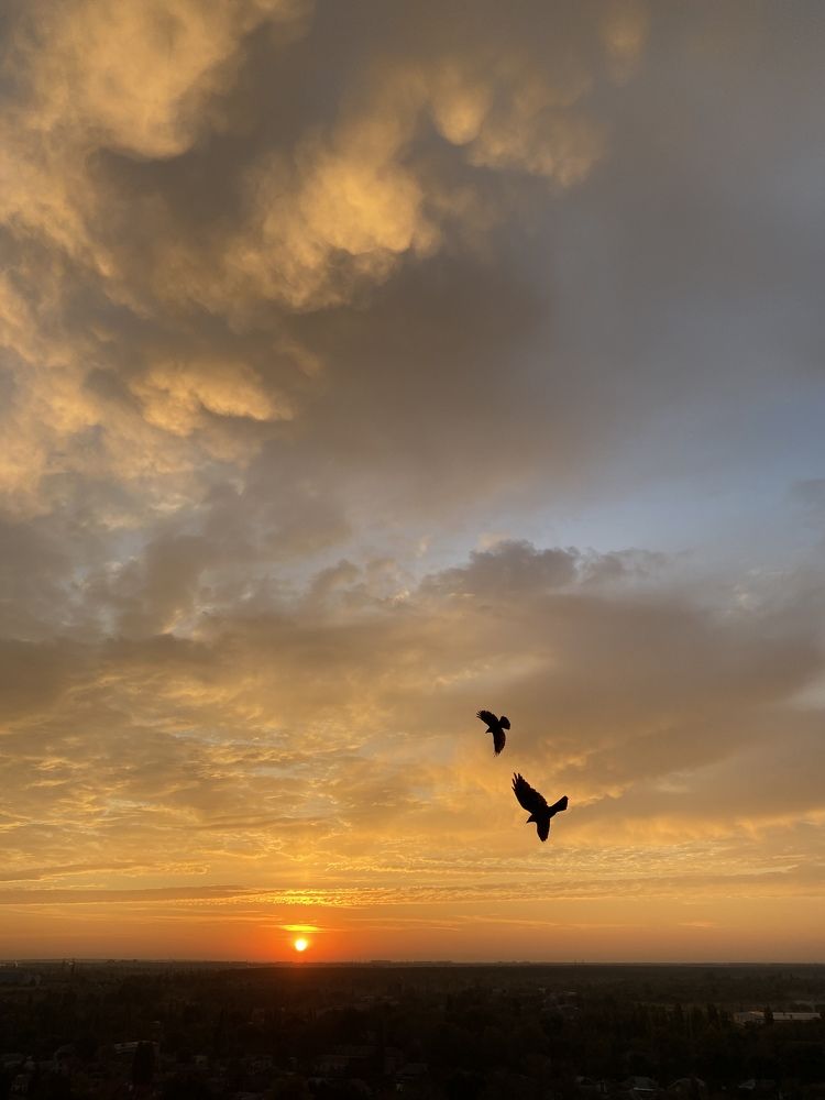 Фотография автора Нина Мальцева