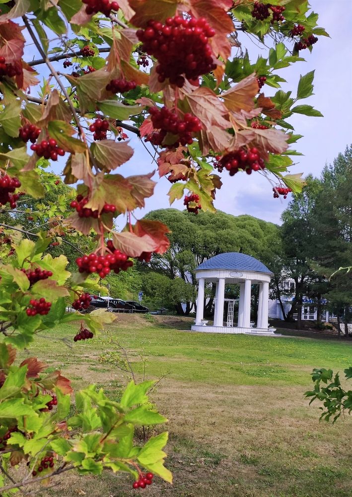 Photograph by Надежда