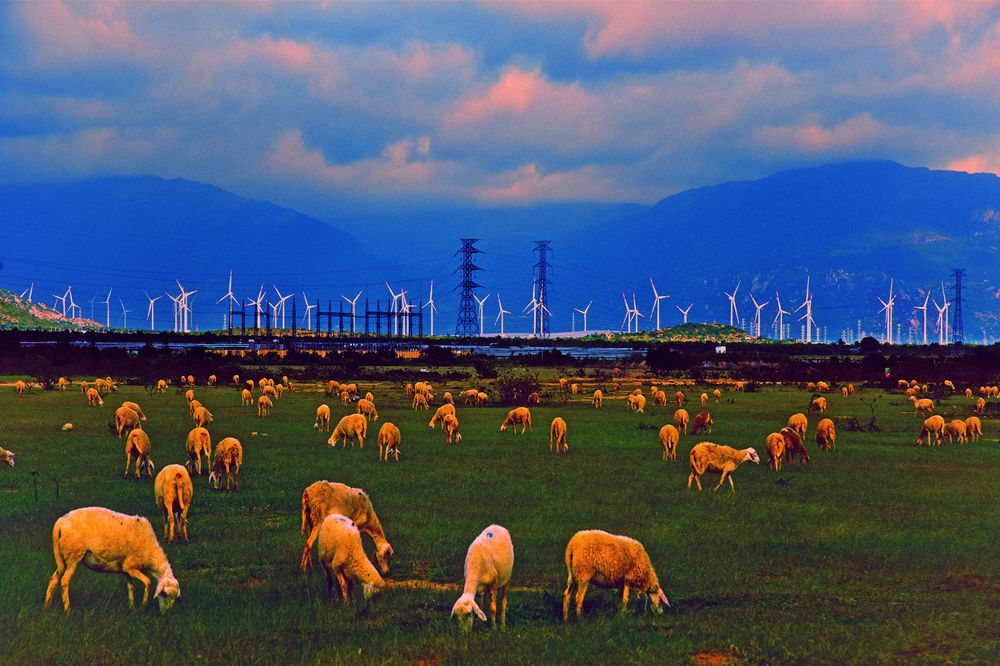 Photograph by Hà Thạnh