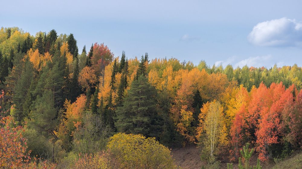 Photograph by Михаил Мартюшев