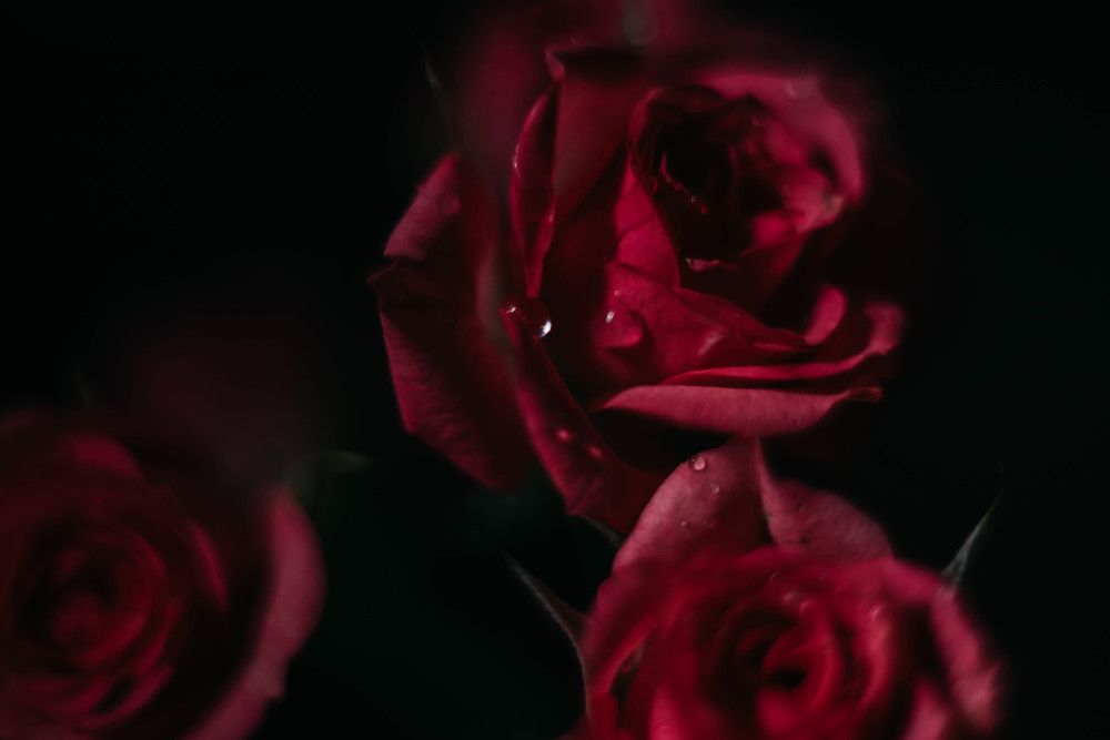 Photograph by Ольга Солодилова