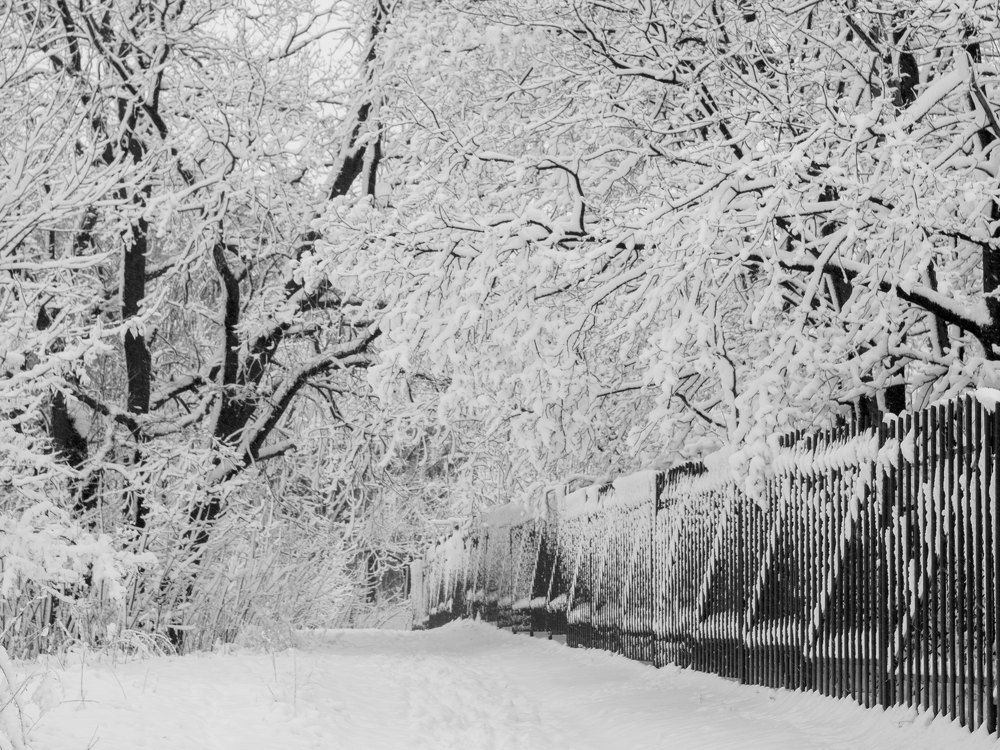 Photograph by Андрей Егоров