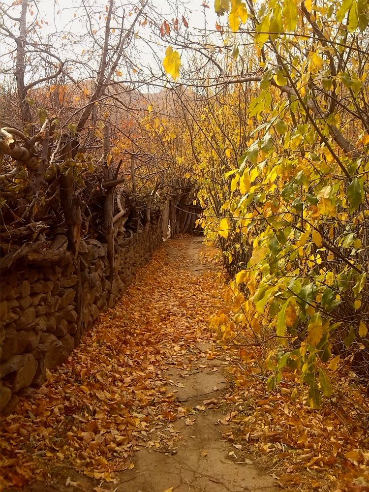 Autumn of thousands of colors