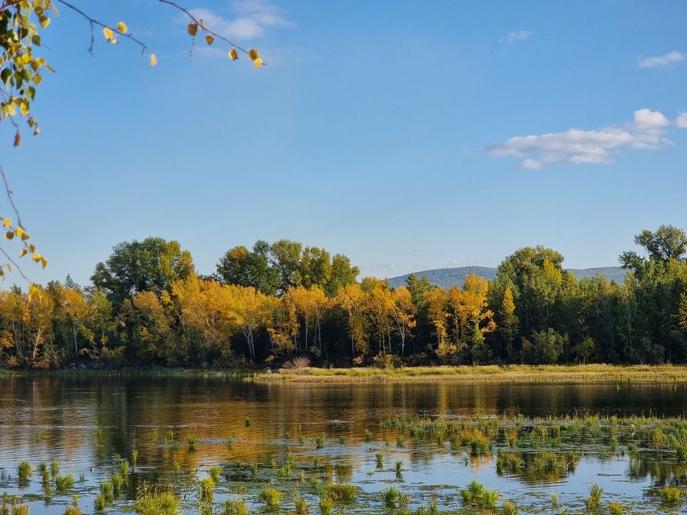 Photograph by Лилия