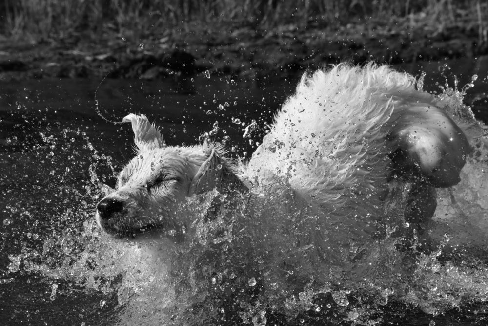 Photograph by Светлана Ивановна