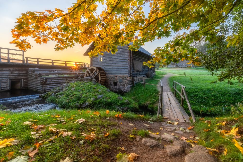 Фотография автора Александр Пашеничев
