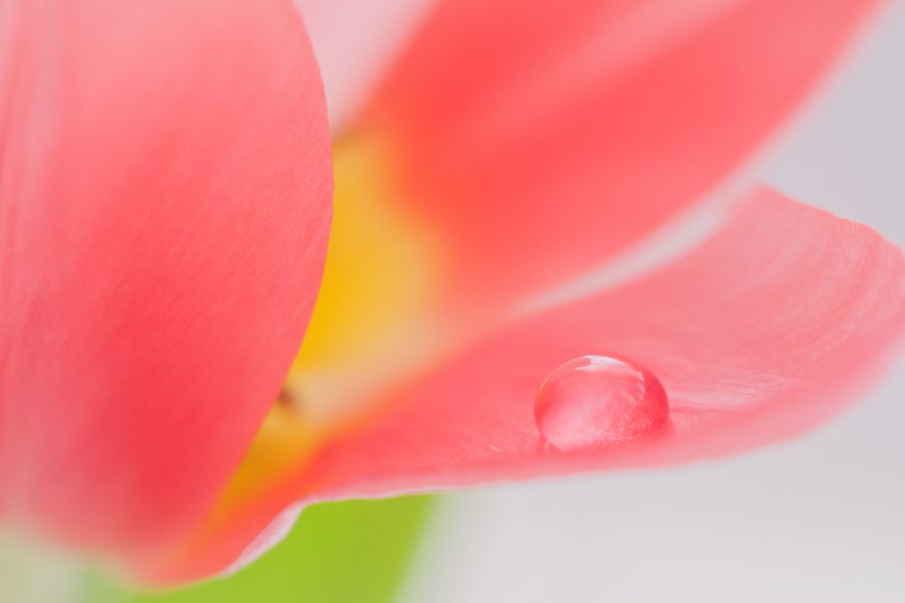 Photograph by Николай Заводов