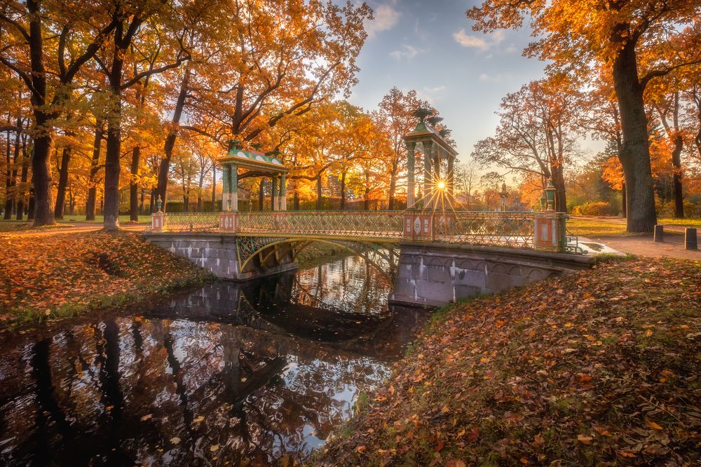 Фотография автора Александр Пашеничев