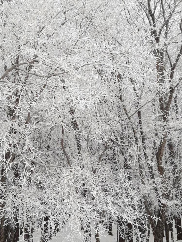 Фотография автора Наталья Шендяпина