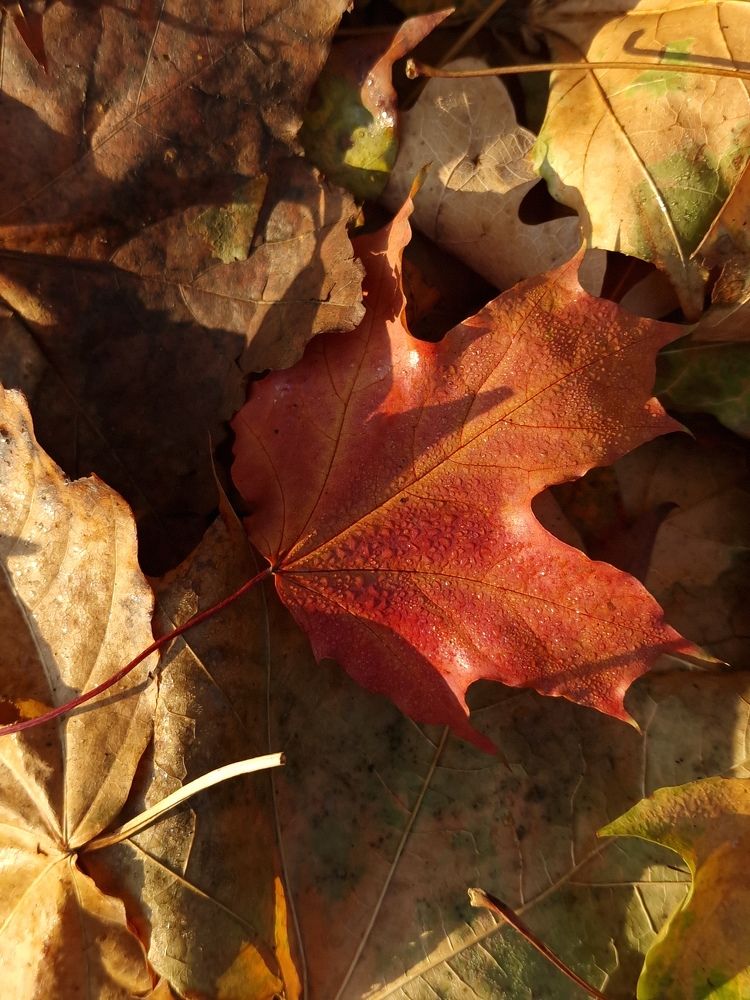 Фотография автора Ольга