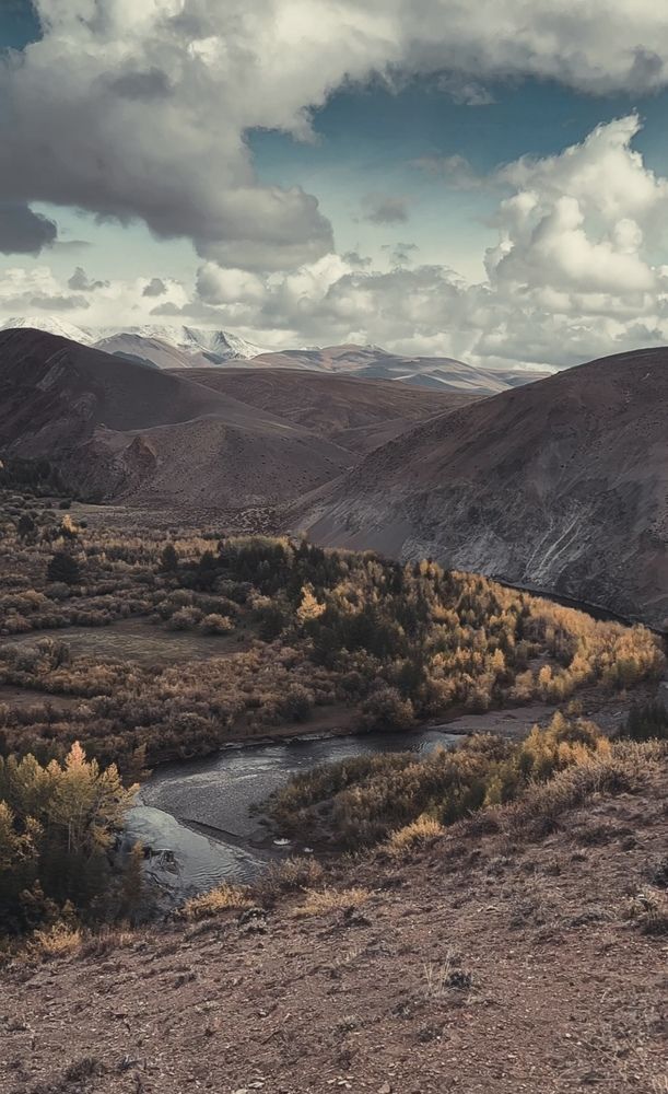 Photograph by Марина Куимова