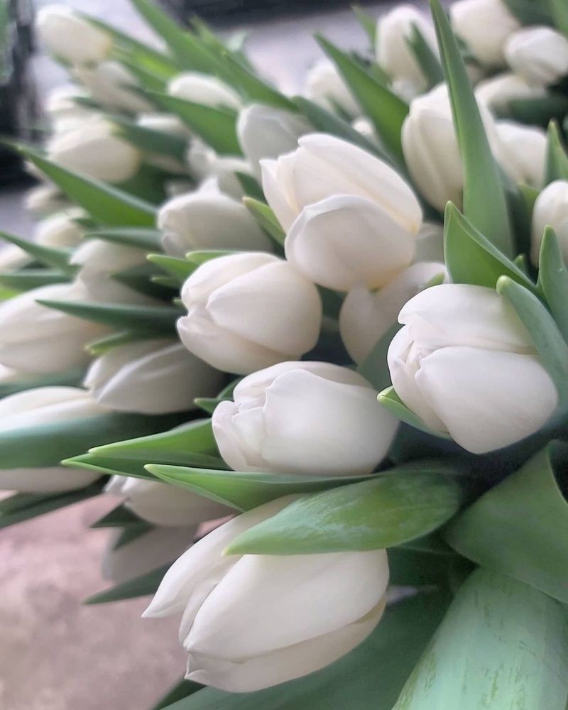 Photograph by Олег Лебедев