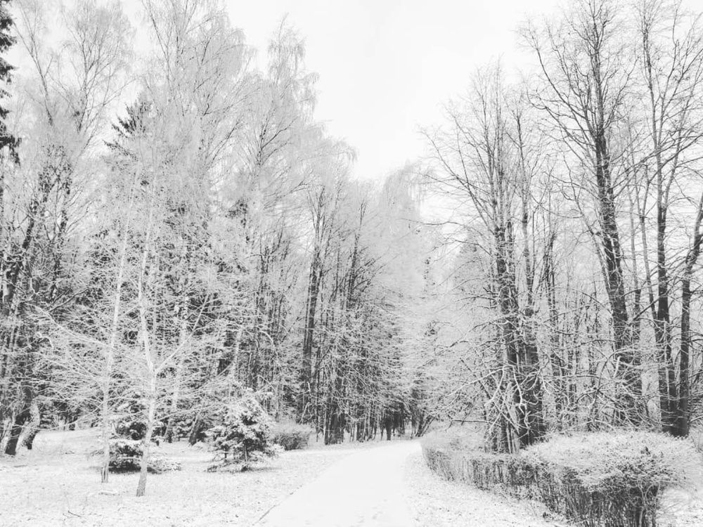 Photograph by Олег Лебедев