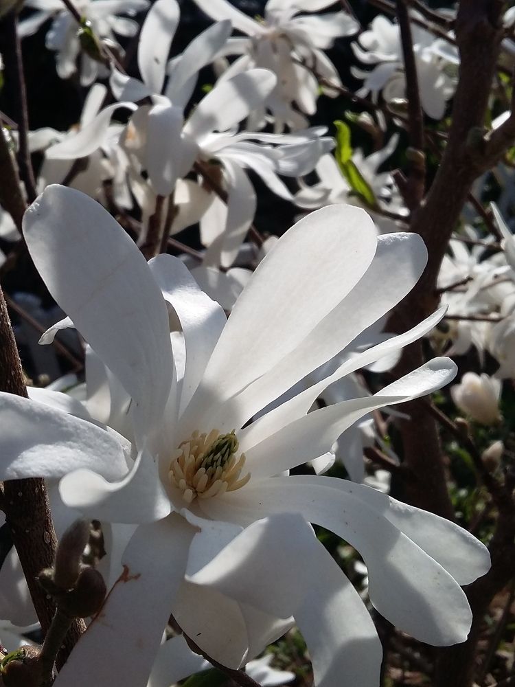 Photograph by Олег Лебедев