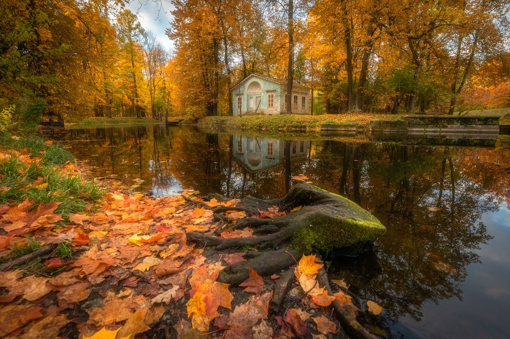 Фотография автора Александр Пашеничев