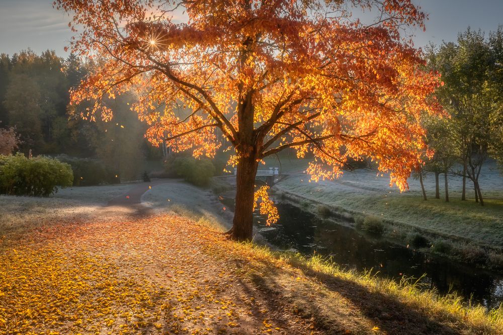 Фотография автора Александр Пашеничев