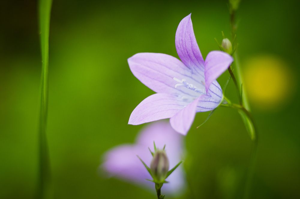 Photograph by Николай Заводов