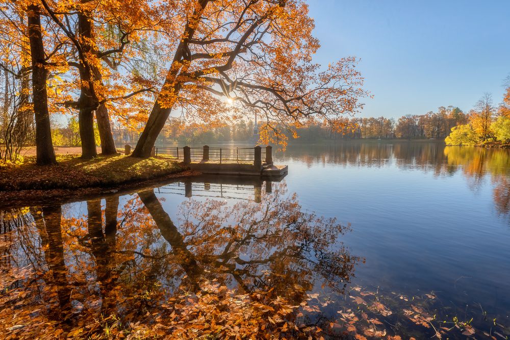 Фотография автора Александр Пашеничев