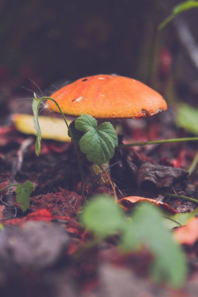 Photograph by Сергей Белокуров