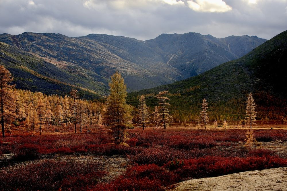 Золотая осень