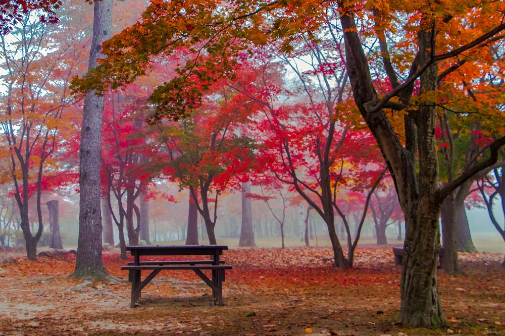 Photograph by Thaw Zin Oo