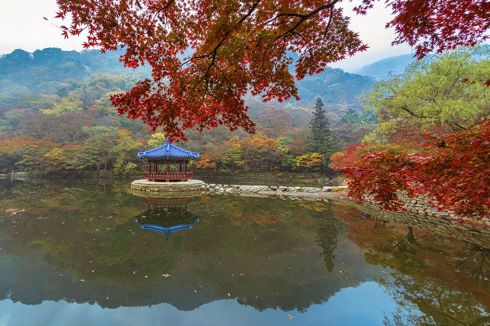 Photograph by Thaw Zin Oo