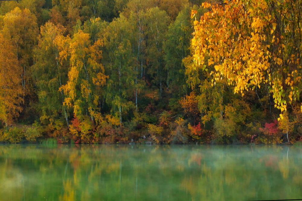 Краски осени