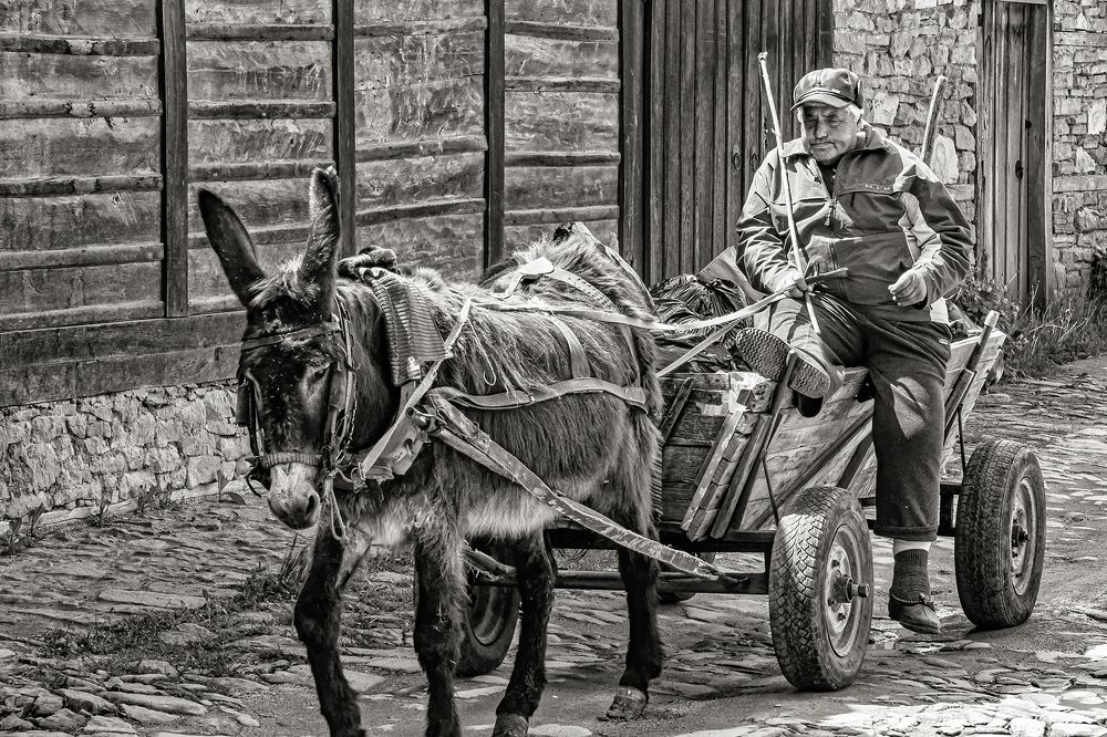 Photograph by Jacky Weckx