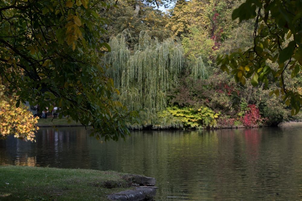 Фотография автора Наталья Старикова