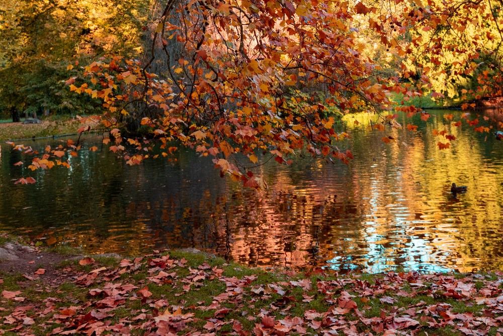 Фотография автора Наталья Старикова