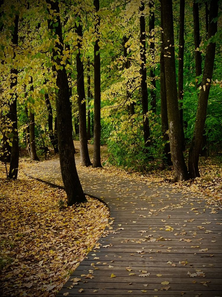 Осенний вид