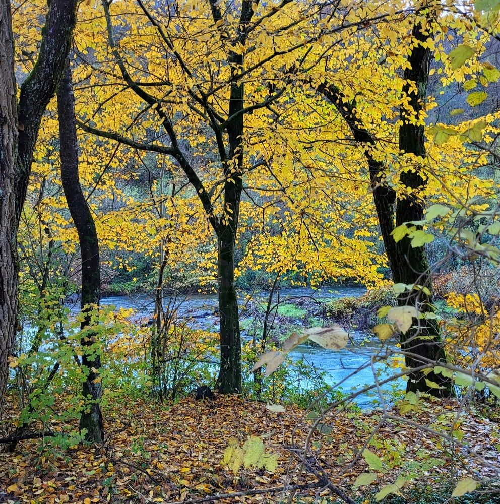 Photograph by Catherine