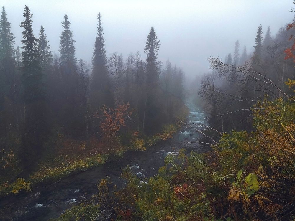 Фотография автора Ольга Сорокина