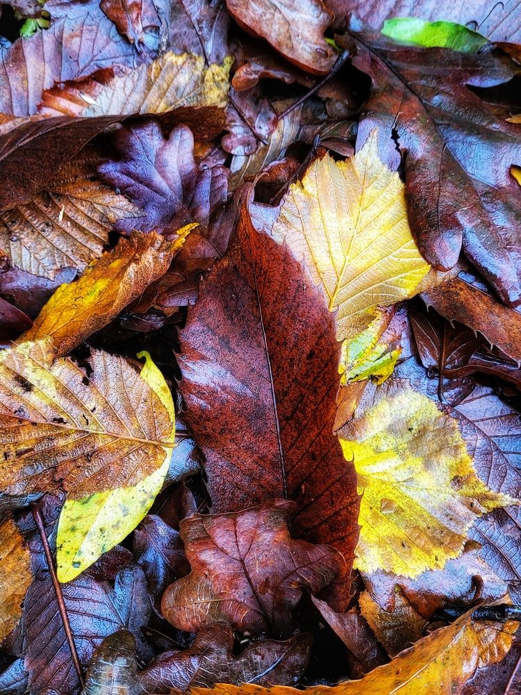 Photograph by Луиза Перегарова