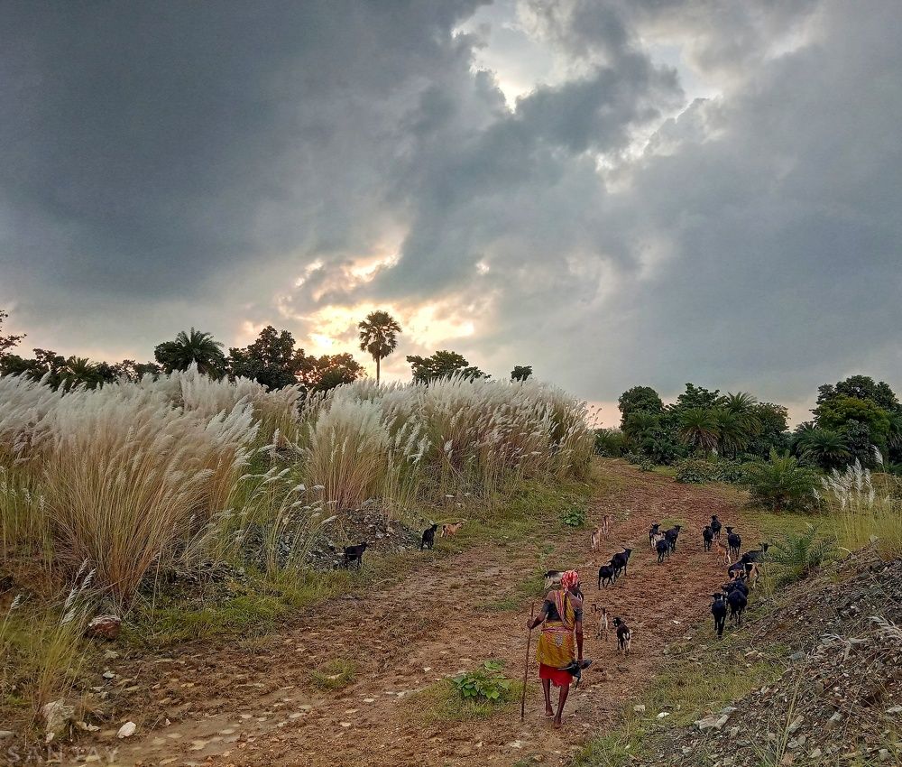 Фотография автора Sanjay karmakar