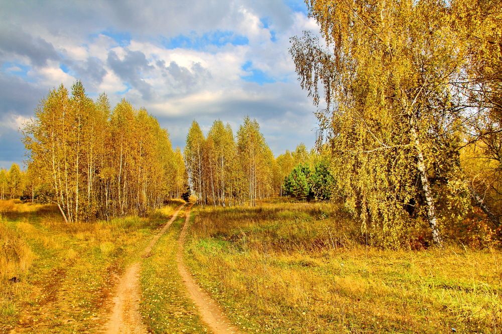Осенний пейзаж