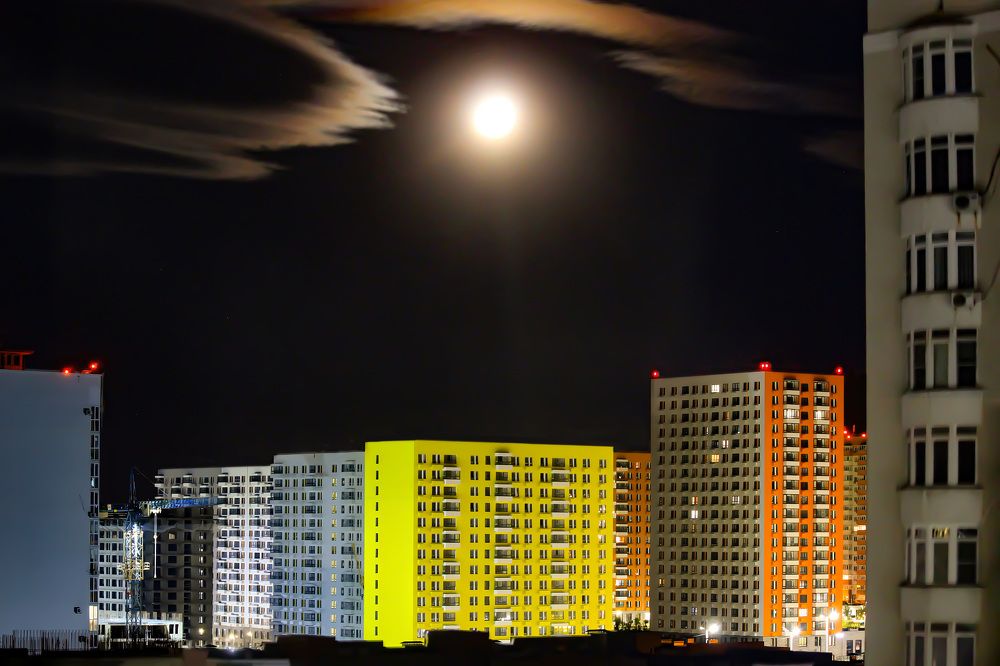 Photograph by Stepan