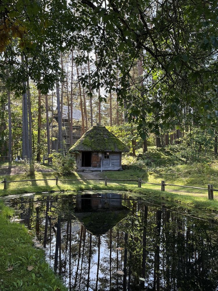 Photograph by Александра