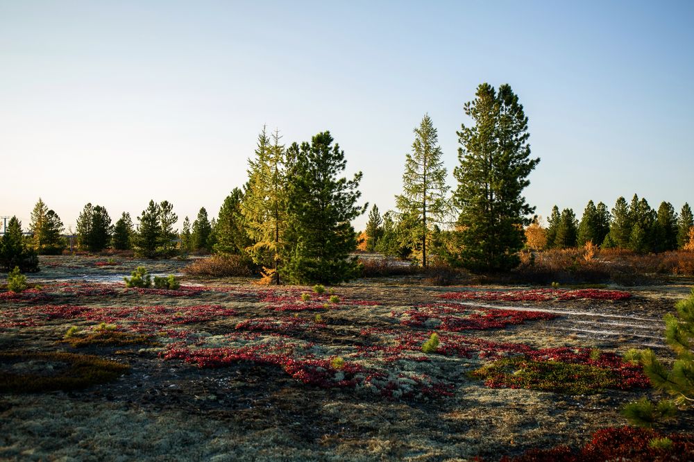 Photograph by Ксения Фёдорова