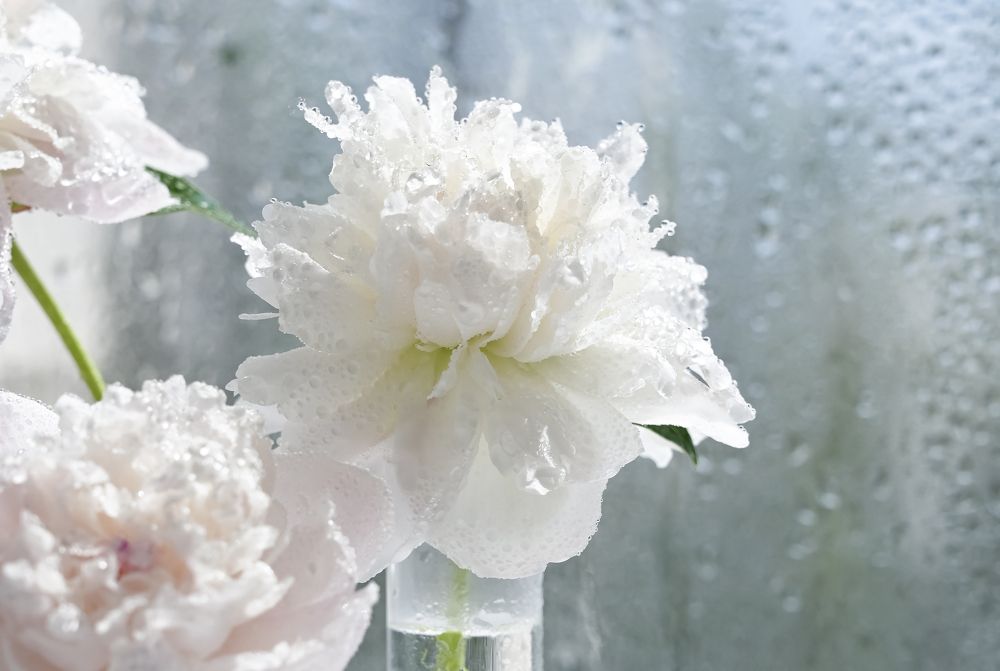 Photograph by Светлана Вербицкая