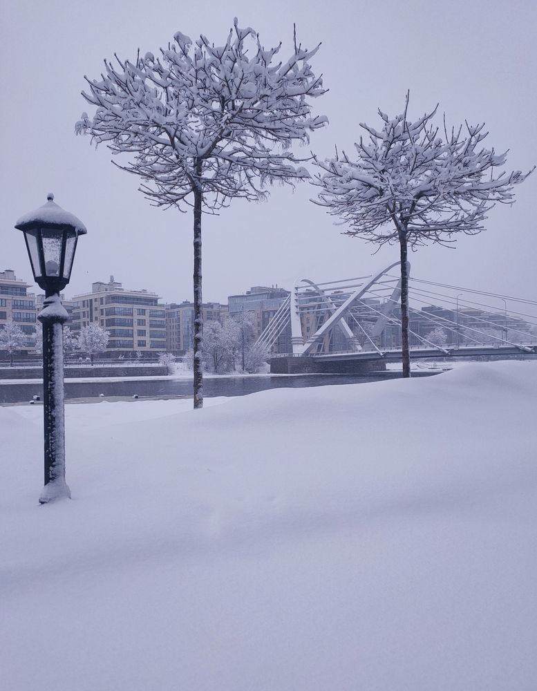 Photo #9568131