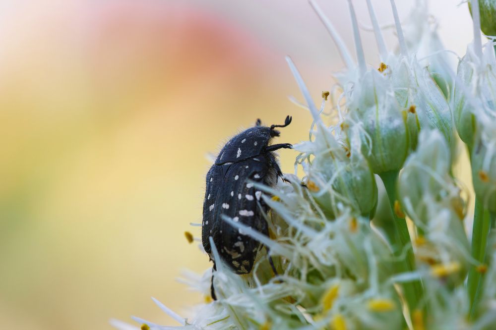 Фотография автора Александр Сурков