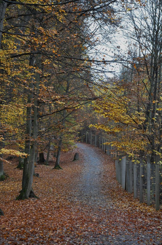 Photograph by Галина Лысых